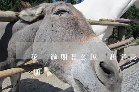花唄逾期怎么越來越多(支付寶花唄怎么會逾期)