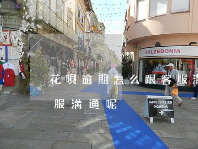 花唄逾期怎么跟客服溝通(花唄逾期怎么跟客服溝通呢)