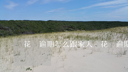 花唄逾期怎么跟家人說(花唄逾期怎么跟家人說)