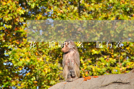 花唄逾期怎么辦最有效