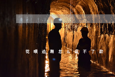 花唄逾期怎么還不了款