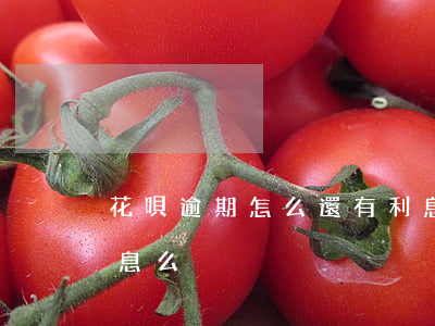 花唄逾期怎么還有利息(花唄到期就還款有利息么)