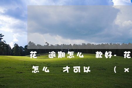 花唄逾期怎么還款好-花唄逾期了還上的要怎么樣才可以繼續(xù)使用