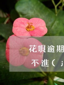 花唄逾期 怎么還款款-花唄逾期 怎么還款款不進(jìn)去