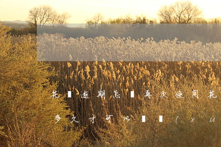花唄逾期怎樣再次使用(花唄逾期之后還完了多久才可以繼續(xù)使用花唄)