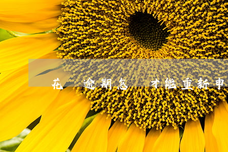 花唄逾期怎樣才能重新申請分期-