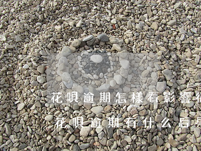 花唄逾期怎樣看影響征信(花唄逾期上征信嗎?花唄逾期有什么后果)