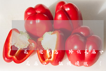 花唄逾期怎樣降低芝麻分(花唄逾期降了好多芝麻分,還能慢慢恢復(fù)嗎)