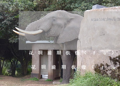 花唄逾期恢復(fù)后如何提升額度嗎-花唄逾期恢復(fù)后如何提升額度嗎安全嗎