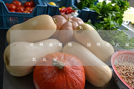 花唄逾期情況說明怎么寫(貸款逾期情況說明怎么寫)