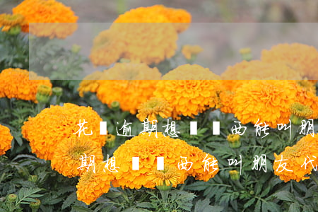 花唄逾期想買東西能叫朋友代付嗎-花唄逾期想買東西能叫朋友代付嗎安全嗎