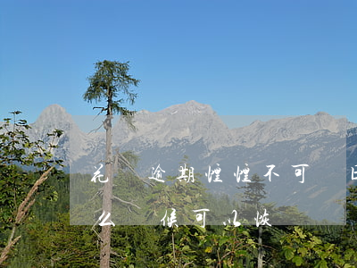 花唄逾期惶惶不可終日(花唄被限制使用了,什么時候可以恢復)