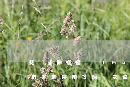 花唄逾期慢慢還會(huì)影響(花唄之前有逾期停用了后來又恢復(fù)了會(huì)影響以后貸款嗎)