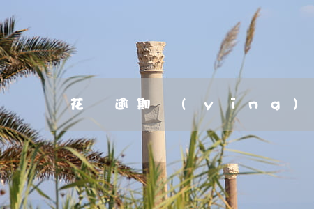 花唄逾期應(yīng)該去哪還
