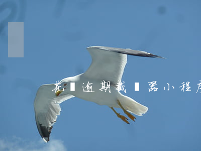 花唄逾期截圖器小程序