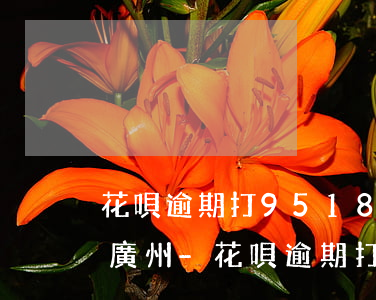 花唄逾期打95188怎么協(xié)商廣州-花唄逾期打95188怎么協(xié)商廣州銀行