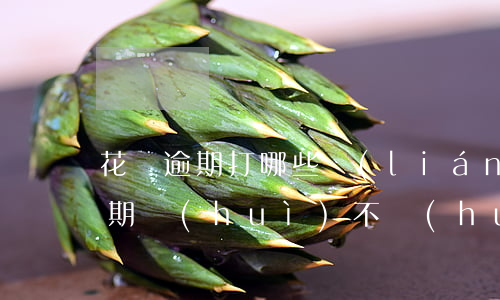 花唄逾期打哪些聯(lián)系人(花唄逾期會(huì)不會(huì)影響緊急聯(lián)系人使用花唄)