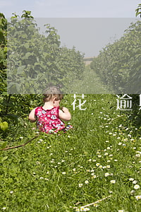 花唄逾期打客服怎么說(shuō)(螞蟻花唄電話催款投訴)