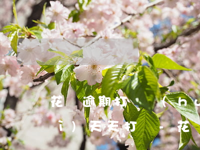 花唄逾期打電話(huà)給家人會(huì)天天打嗎-花唄逾期打電話(huà)給家人會(huì)天天打嗎是真的嗎