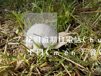 花唄逾期打電話(huà)說(shuō)上門(mén)會(huì)上門(mén)嗎-花唄逾期打電話(huà)說(shuō)上門(mén)會(huì)上門(mén)嗎是真的嗎