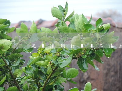 花唄逾期打電話不接后果怎么樣-