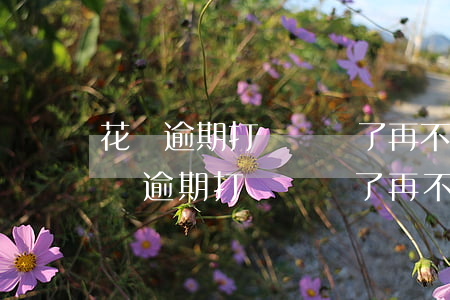 花唄逾期打電話來了再不接電話會咋樣-花唄逾期打電話來了再不接電話會咋樣嗎