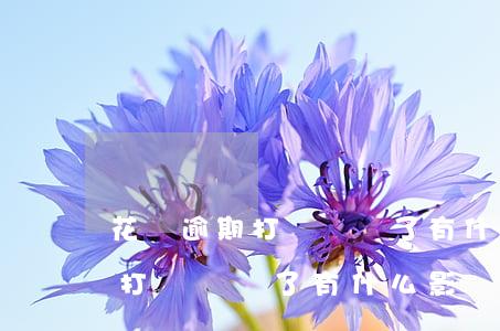 花唄逾期打電話來了有什么影響-花唄逾期打電話來了有什么影響嗎