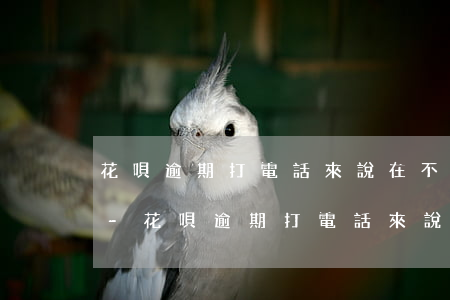花唄逾期打電話來說在不還錢就要全額還款-花唄逾期打電話來說在不還錢就要全額還款是真的嗎