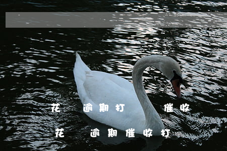 花唄逾期打電話催收說換不上就聯系父母-花唄逾期催收打電話給家人是怎么處理的