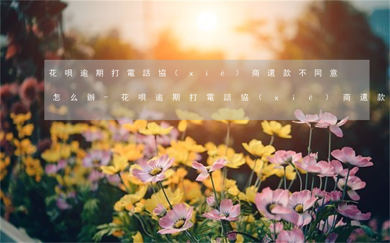 花唄逾期打電話協(xié)商還款不同意怎么辦-花唄逾期打電話協(xié)商還款不同意怎么辦呢