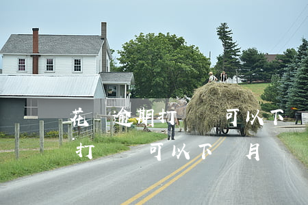 花唄逾期打電話可以下個月還嗎-花唄逾期打電話可以下個月還嗎怎么辦