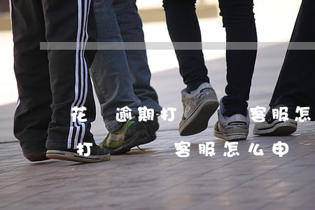 花唄逾期打電話給客服怎么申訴-花唄逾期打電話給客服怎么申訴呢