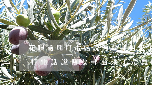 花唄逾期打電話說傳票郵過來了-花唄逾期打電話說傳票郵過來了是真的嗎
