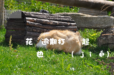 花唄逾期打電話起訴說凍結(jié)我賬戶也沒凍結(jié)-花唄逾期打電話起訴說凍結(jié)我賬戶也沒凍結(jié)過