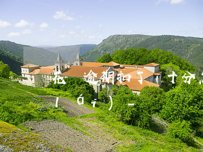 花唄逾期扣了幾十分怎么補(bǔ)回來(lái)-
