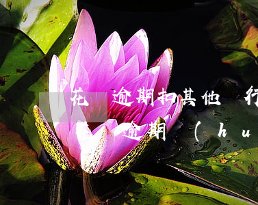 花唄逾期扣其他銀行卡嗎(支付寶銀行卡解綁花唄逾期會(huì)扣銀行的錢(qián)嗎)