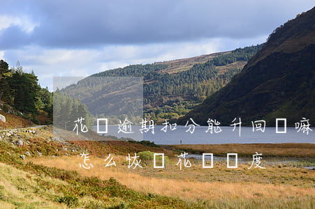 花唄逾期扣分能升回來嘛(支付寶花唄逾期了怎么恢復花唄額度)