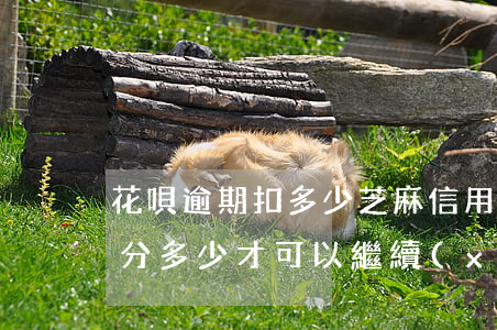 花唄逾期扣多少芝麻信用卡(花唄逾期后芝麻分多少才可以繼續(xù)使用)