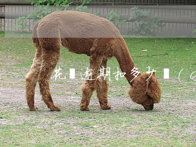 花唄逾期扣多少點(diǎn)錢