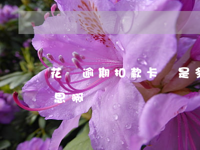 花唄逾期扣款卡號是多少(花唄逾期是什么意思啊)