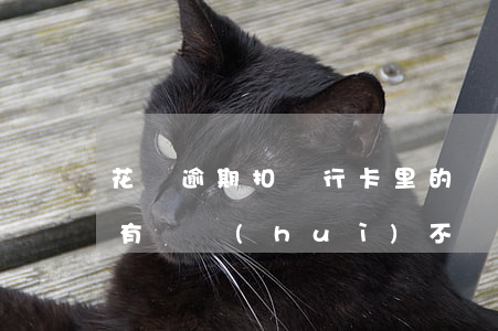 花唄逾期扣銀行卡里的錢(花唄逾期了銀行卡有錢會(huì)不會(huì)自動(dòng)扣款)