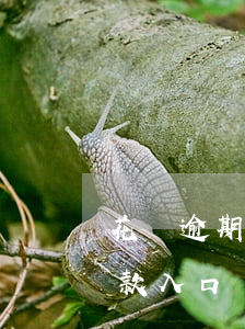 花唄逾期找不到還款入口(花唄逾期找不到還款入口)