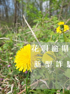 花唄逾期掃碼 花唄逾期掃碼助力恢復資格是新型詐騙嗎