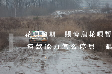 花唄逾期掛賬停息(花唄暫時(shí)沒有還款能力怎么停息掛賬)