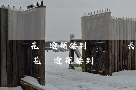 花唄逾期接到電話說當天兩點還,能推遲嗎-花唄逾期接到電話說當天兩點還,能推遲嗎
