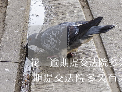 花唄逾期提交法院多久有人打電話-花唄逾期提交法院多久有人打電話通知