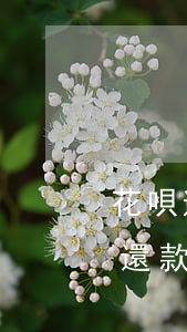 花唄逾期提前還款后果(花唄超時(shí)還款的后果)