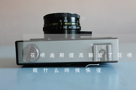 花唄逾期提高額度了(花唄逾期額度不可用,大概什么時候恢復)