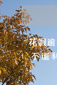 花唄逾期換本金(支付寶花唄逾期可以還本金不還利息嗎)