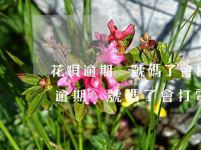 花唄逾期換號碼了會打電話到公司嗎-花唄逾期換號碼了會打電話到公司嗎安全嗎